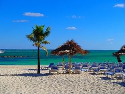 palm tree beach with beach chairs