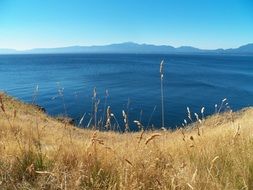 Landscape of Hornby Island's Coastline