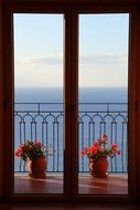 the view from the window of the sea and red flowers