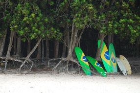 Surf Beach rio de janeiro