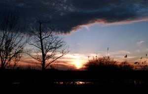 fantastic Cloud
