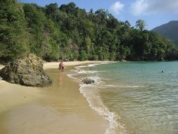 panoramic view of a tropical beach on the island of Tobago