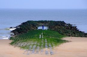 wonderful Angler Sea