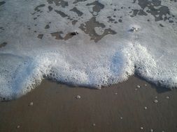 white ocean foam on the shore