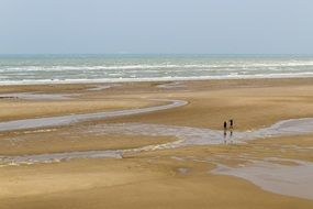 scenic Beach at Sea during Ebb, France