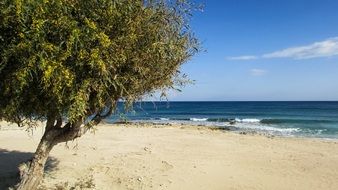beautiful makronissos beach