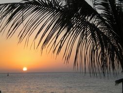 nice-looking Mexico Sunset