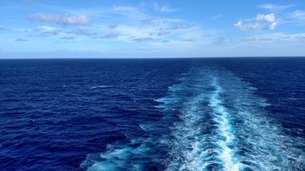 cruising in the Caribbean sea