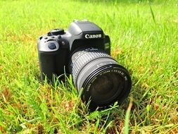 camera on green grass on a sunny day close-up