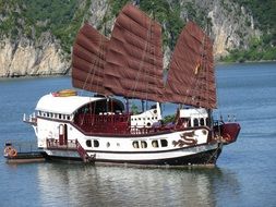 Ships on the water in Vietnam