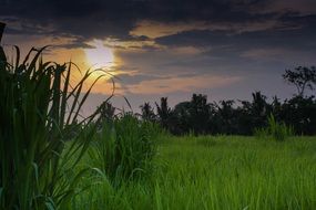 Indonesia Bali sunset