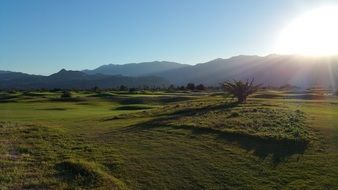 Golf Course Summer Sun