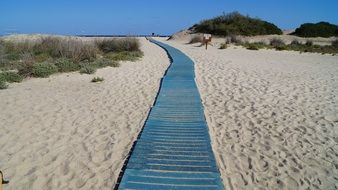 wooden path to the sea in Sardinia