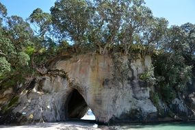 Beautiful Cathedral Cove in New Zealand