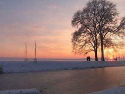 pink sunset over winter landscape