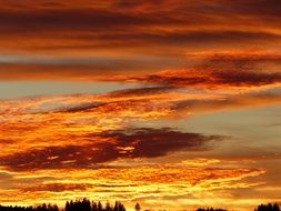 golden sunset in the clouds of the evening sky