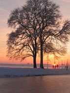 Winter Snow Trees Ice Sunset