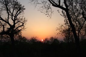 The Sunset At Dusk