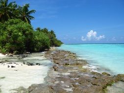 rocky beach in Maldives