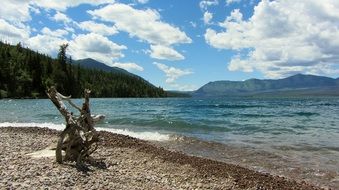 driftwood on the shore of a glacial lake
