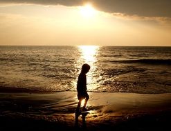 Beach Silhouette