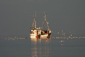Beautiful fishing boat in Baltic Sea