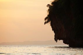 Coast Island Rock