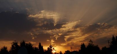 sunset rays over the treetops