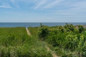 narrow path to the coast of the atlantic ocean