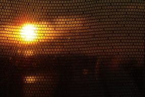 orange sunset through the grid