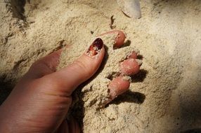 female hand with sand