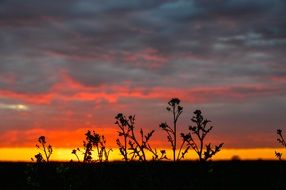 Amazing Colorful sunset