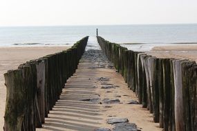 wooden pole on the beach