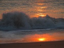 splendid Wave Sea