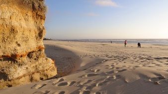 sand dunes on the beach in america