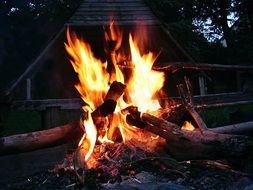 red Fire Flame