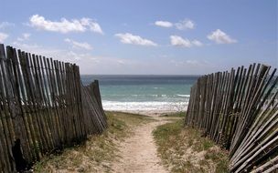 Beach Fences on a coast