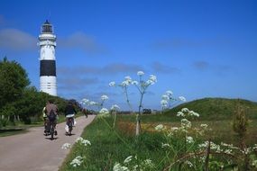 Landscape with the plants near the lighthouse