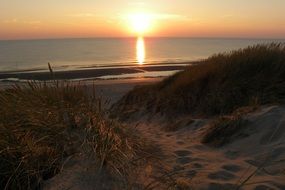 Beach in noord-holland