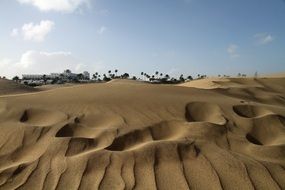 picturesque sand dunes in the canary islands