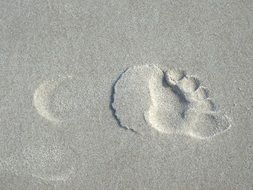 Footprint Sand Beach