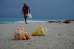 wonderful Caribbean Beach