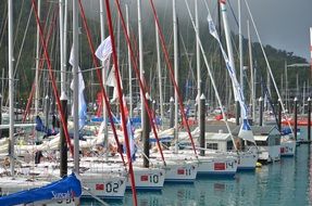 many boats in the harbor on hamilton island