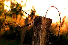 barbed wire on wooden beam