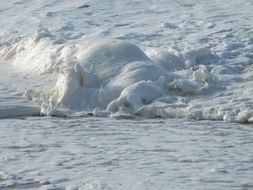 scum beach wave