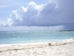 Beach Riviera Maya
