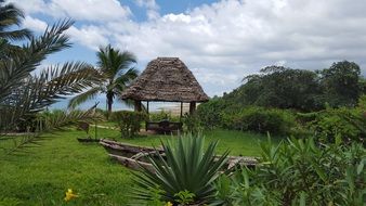 beach hut among tropics in zanzibar