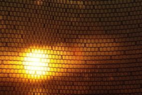 orange sunset in the mesh