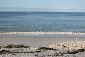 ocean coast with waves