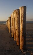 Breakwater Beach, North Sea